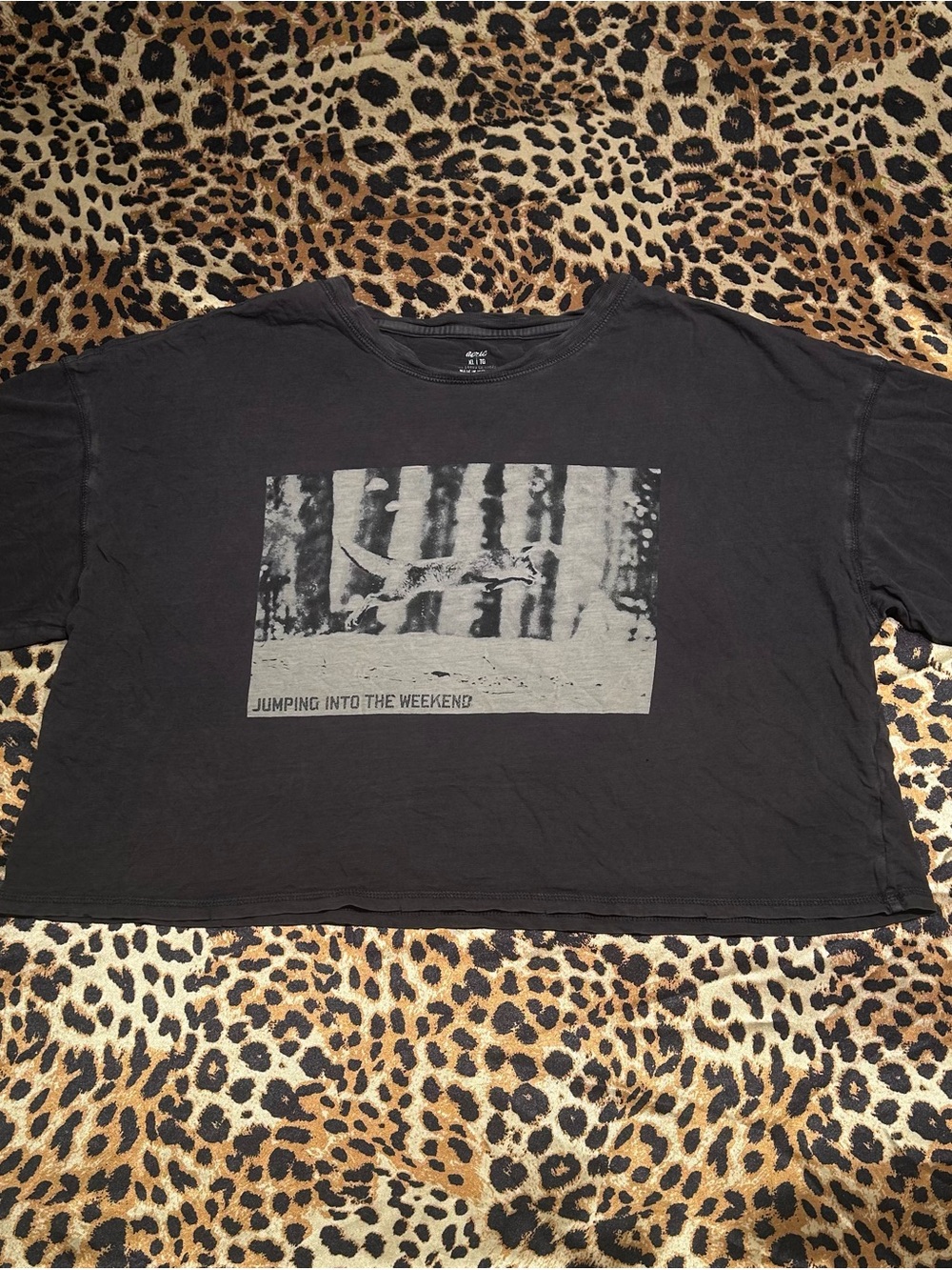 ❌SOLD❌Aerie Oversized Cropped Gray Jumping Into The Weekend Fox T-Shirt